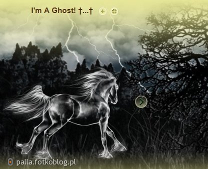 I'm Ghost! 