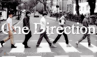 One Direction ; D 