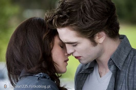 The Twilight Saga - love