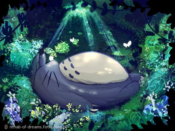 Totoro ^^