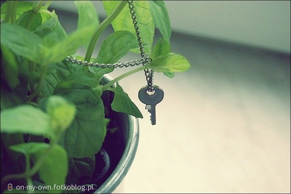 klucz do serca ♥ 
