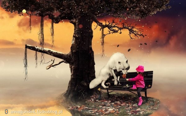 Dziewczynka z białym wilkiem