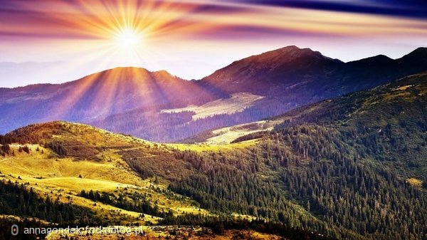 Las w promieniach słońca - góry