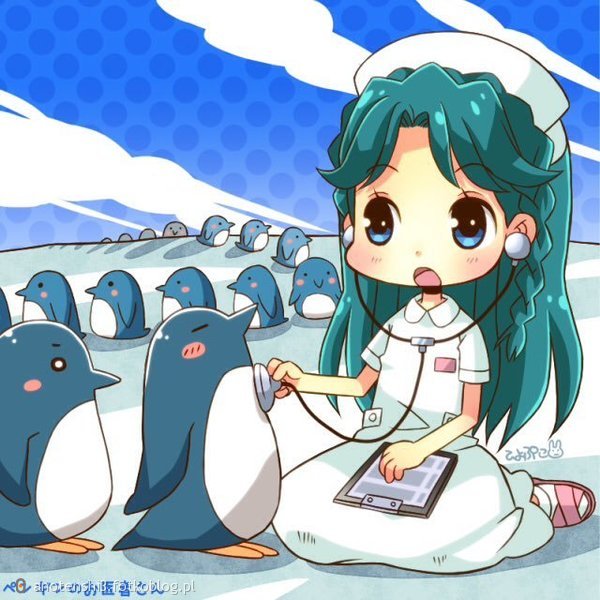 dziewczyna i pinwiny