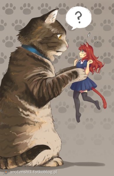 kot i dziewczyna