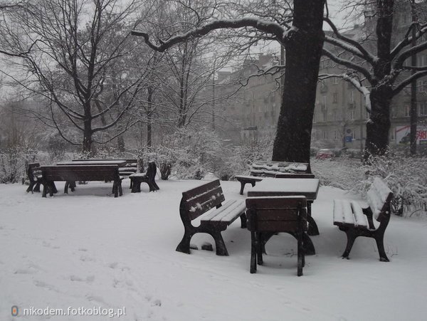 Zima we Wrocławiu.