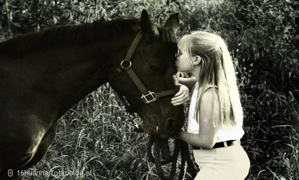Kocham konie :) 