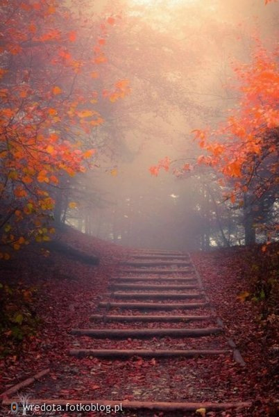 ...szlak w jesiennych barwach....