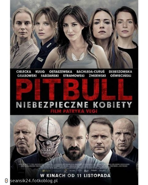 Film Pitbull. Niebezpieczne kobiety (2016) Online PL