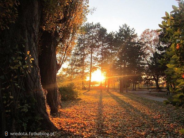 ...jesienny park w promieniach słońca....
