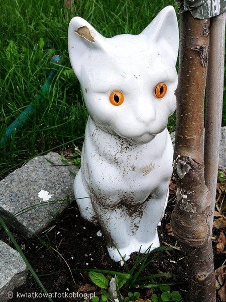 Porcelanowy kotek w ogródku ;D