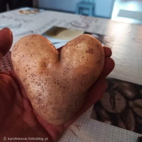 Ziemniak w kształcie serca 