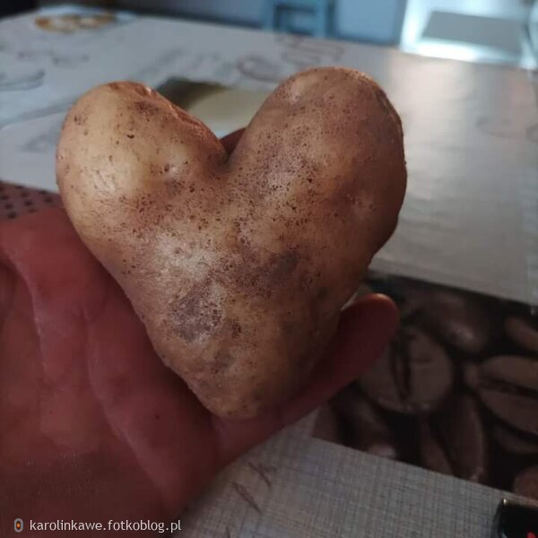 Ziemniak w kształcie serca 2