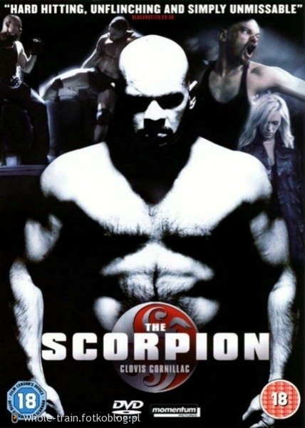 Skorpion 