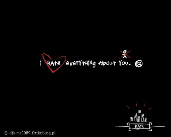  I HATE EVERYTHING ABOUT YOU