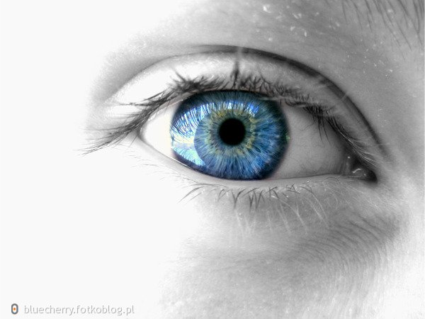 Oko niebieskie jak niebo nad wodą