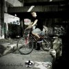 Pasja rower , hobby fotografia ;)   cz2  ::  
