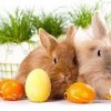 Wielkanoc  Wierszyki   :: Oby zdrowie dopisało i jajeczko smakowało, by szyneczka nie tuczyła, atmosferka była miła, a zającze 