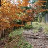   jesień na szlaku...  :: jesienny szlak na Ciemniak (Czerwone Wierchy) 