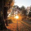 ...jesienny park w promieniach słońca....  :: Pamiętać należy zawsze o tym, że &ndash; dobre uczucia istnieją po to, by się nimi dzieli 