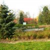 Barwy jesieni    :: Park Ślaski ---Chorz&oacute;w 