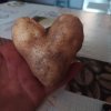 Ziemniak w kształcie serca 2  ::  