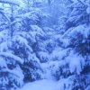 Śnieg   :: I śnieg topniejee

w szkole nawet spoko
nie ma jak grać w kosza na wf
byłam w jednej druzynie p&a 