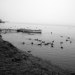 2. Jezioro Jamno 