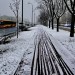  Zima w mieście...  :: Jak do tej pory jest łaskawa i dla rowerzyst&oacute;w.&a<br />mp;nbsp; 