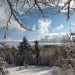 Zimowa kraina magii  :: stad przepiekna piosenka...posluchajcie 