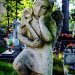 Aniołek   :: Niedzielny spacer po cmentarzu...ach wracają wspomnienia...:(&nbsp<br />; 