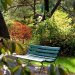 Powsin - Ogród Botaniczny PAN  :: ...wracam do miejsc z kt&oacute;rych mam same miłe wspomnienia 
