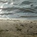 Plaża miejska :)) spokoja śliczna woda i pisek :))  :: kocham się kąpać :)) 