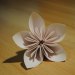 Papierowe kwiaty  :: Papierowe kwiaty jak morze wspomnień zapisanych na nietrwałych stronach zeszyt&oacute;w.
Toną 