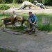 Zoo w Chorzowie  :: Kotlina dinozaur&oacute;w 