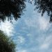 A soaring kite against the blue, blue sky...  :: Pochwalę się Wam dzisiaj, że miałam przerażający dzień :D
A to za sprawą pięciu wspaniałyc 
